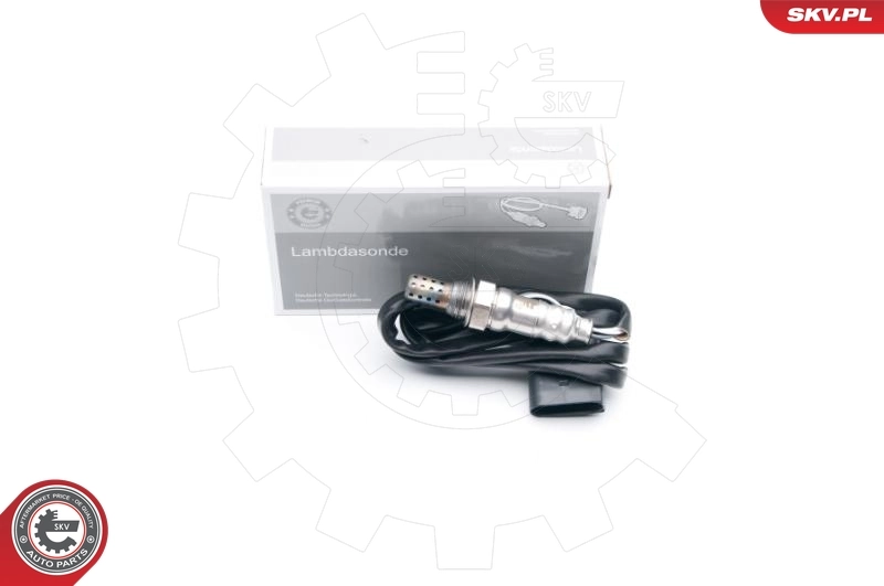 Oxygen Sensor